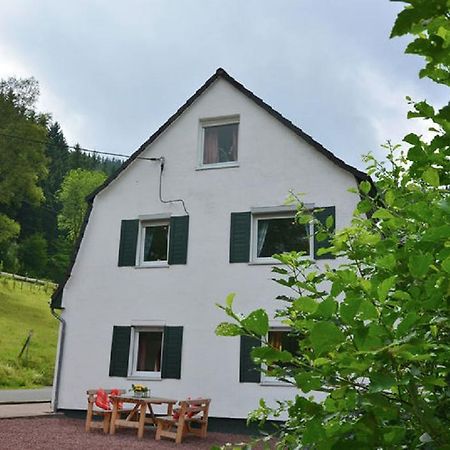 올스버그 Haus Elpe Naehe Meschede Winterberg 빌라 외부 사진