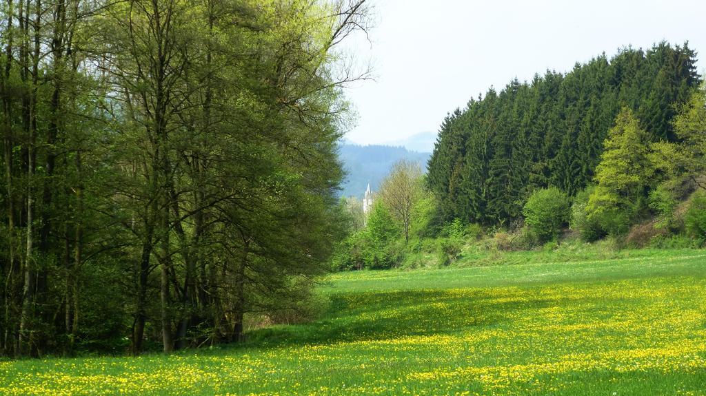 올스버그 Haus Elpe Naehe Meschede Winterberg 빌라 객실 사진